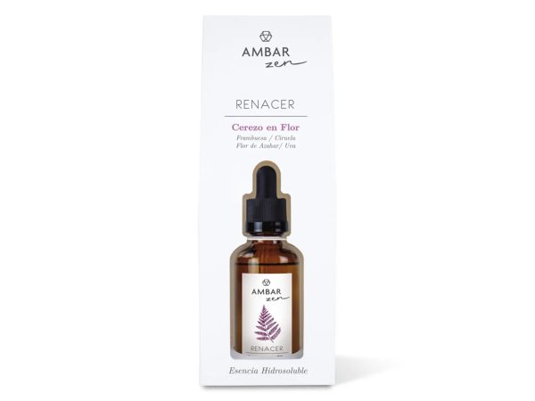Âmbar Ambientador Essência Cereja em Flor Zen 50 ml para Umidificador