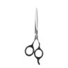 Beter Ciseaux de Coiffeur Inoxydable 15 cm