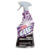 Cillit Bang Reiniger Schmutz und Flecken Feuchtigkeit 750 ml