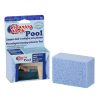 Cleaning Block Piedra de Limpieza para Piscinas