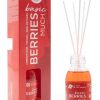 Mikado Basic Frutos Silvestres 95 ml La casa de los Aromas