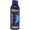 Williams Ice Blue Desodorante Spray 200 ml