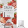Vintage Mikado Ambientador The Sweethome Dulce Hogar 100 ml + 50 ml gratis
