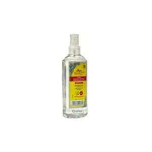 Gel higienizante ALVAREZ GOMEZ 300ml